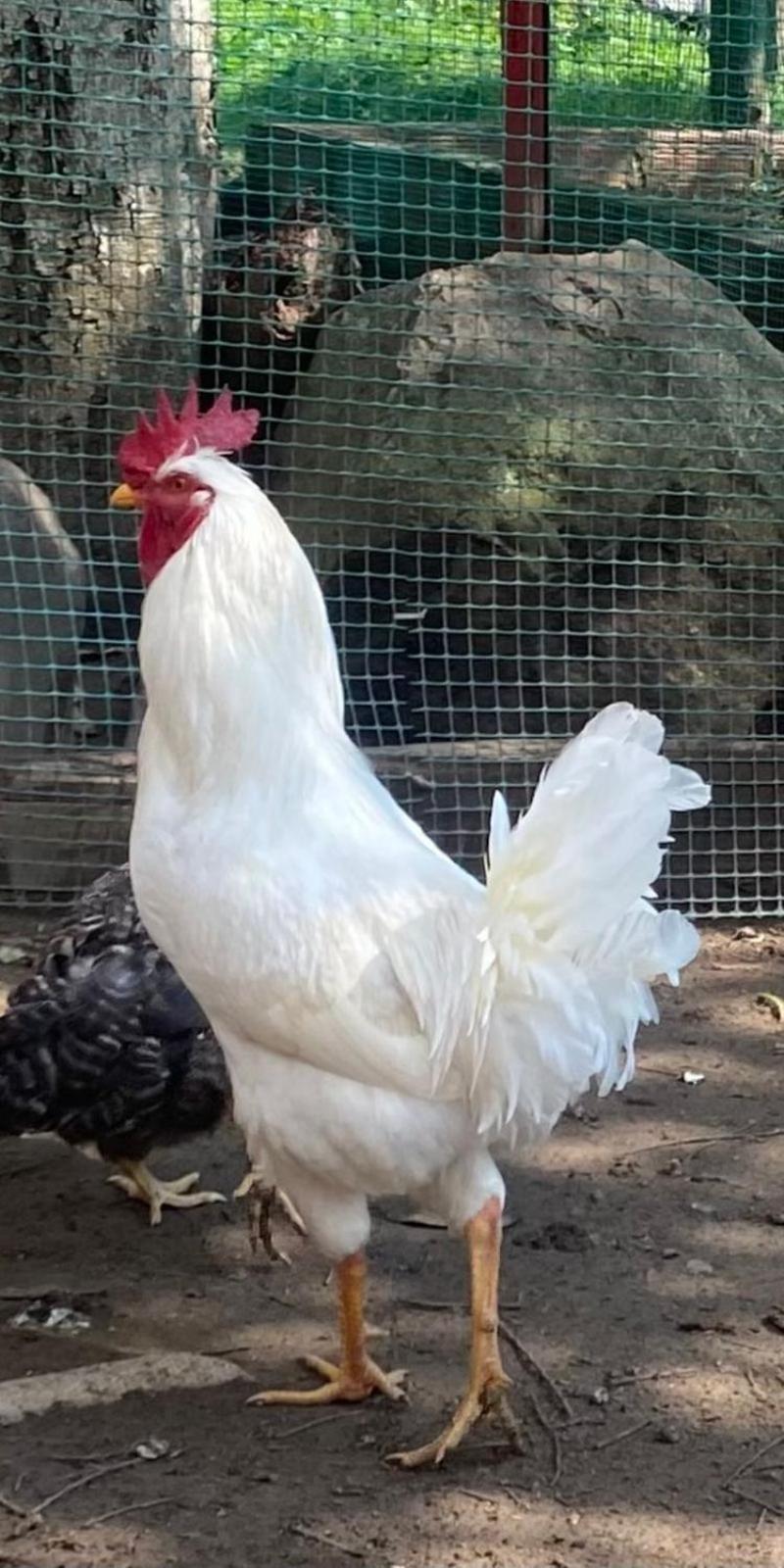 Hosteria Campestre San Fermin Ráquira Kültér fotó