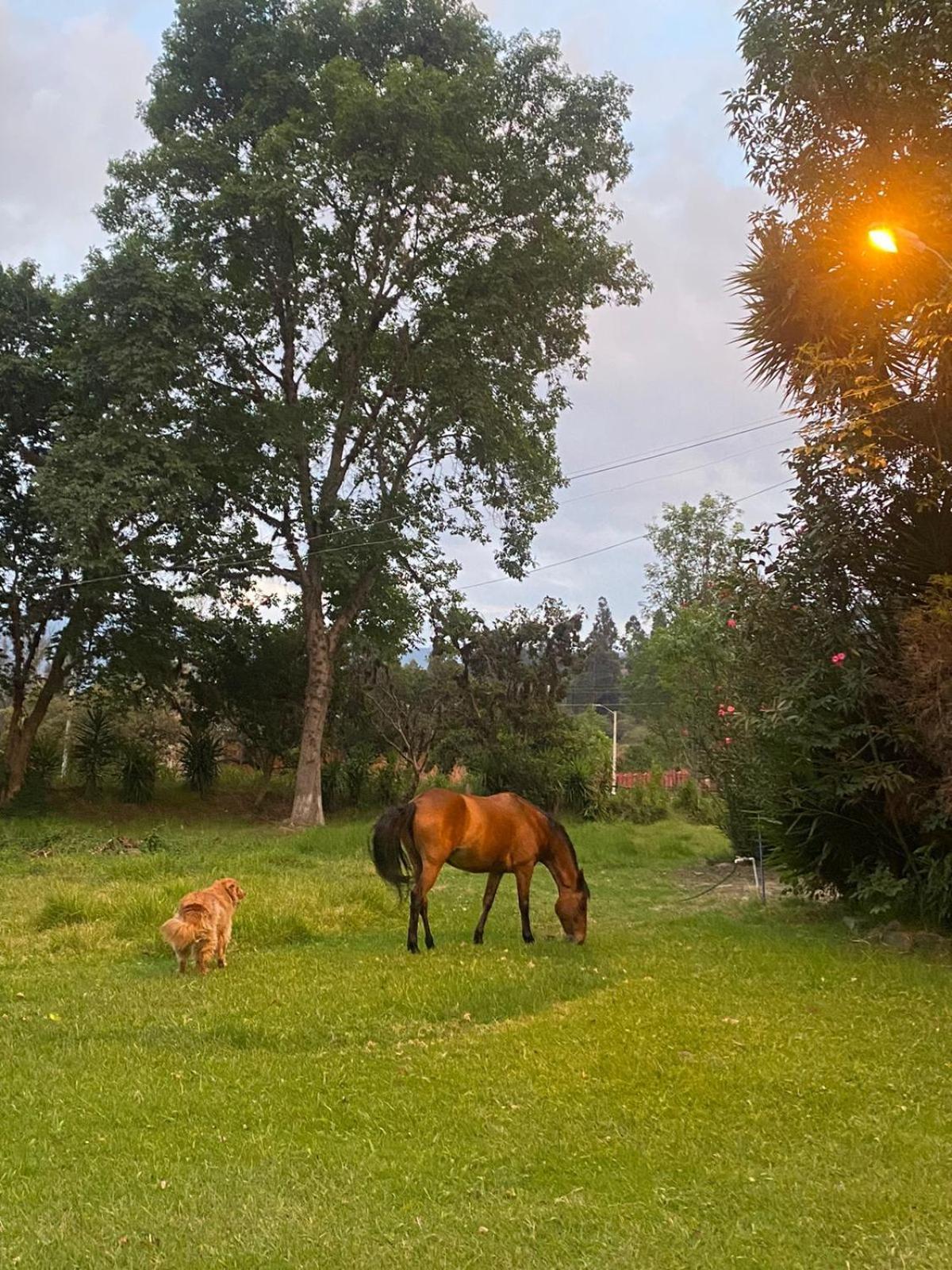 Hosteria Campestre San Fermin Ráquira Kültér fotó