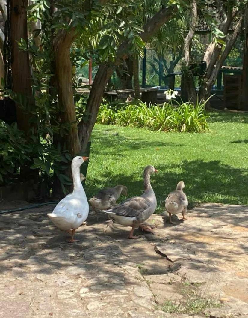 Hosteria Campestre San Fermin Ráquira Kültér fotó